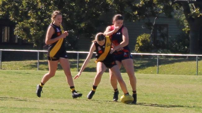 Some happy Tweed Coast Northern Rivers Tigers fight hard for the ball during their good win at Yeronga yesterday