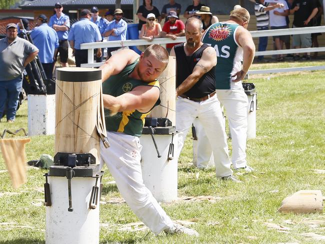 Woodchopping is a highlight of the Huon Show. Picture: MATT THOMPSON