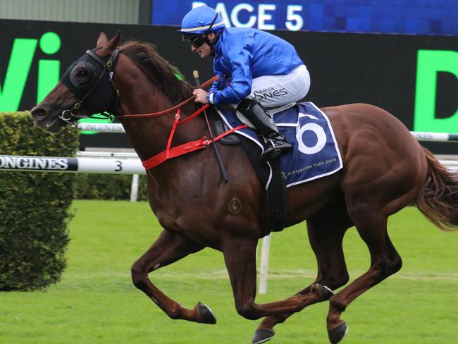 Brad Davidson’s tips: Conditions made to order for Gravina