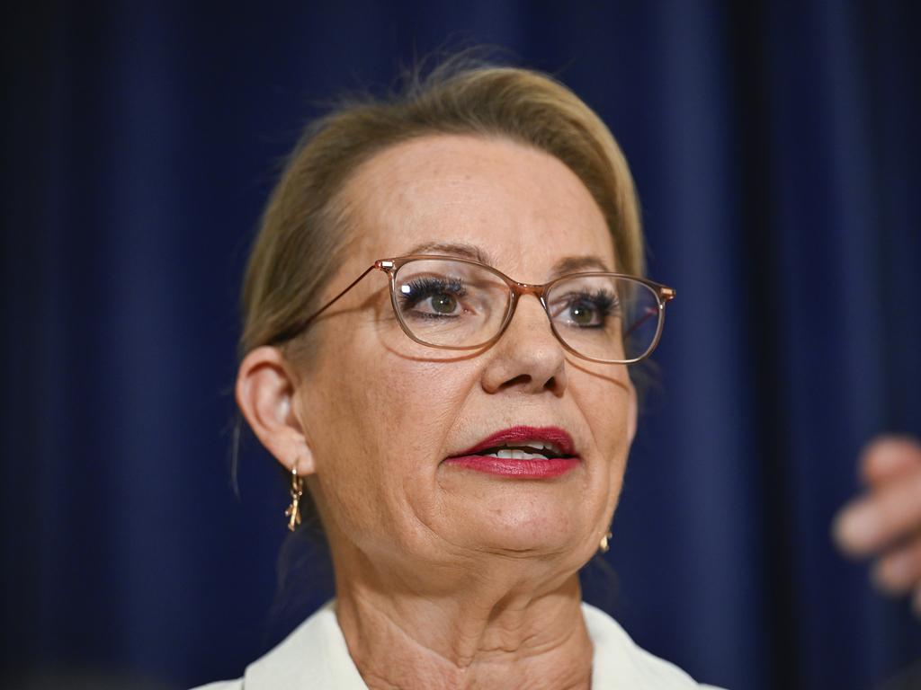 Leader of the Opposition Sussan Ley has struck a deal with David Littleproud. Picture: NewsWire / Martin Ollman