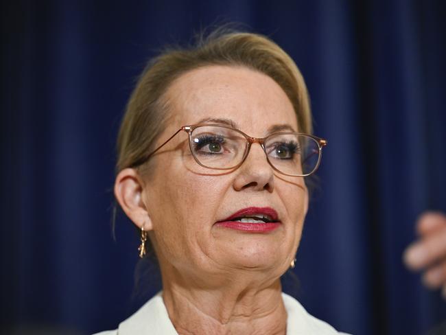 Leader of the Opposition Sussan Ley has struck a deal with David Littleproud. Picture: NewsWire / Martin Ollman