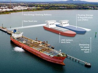 Port to fund probe into Viva floating gas hub plan