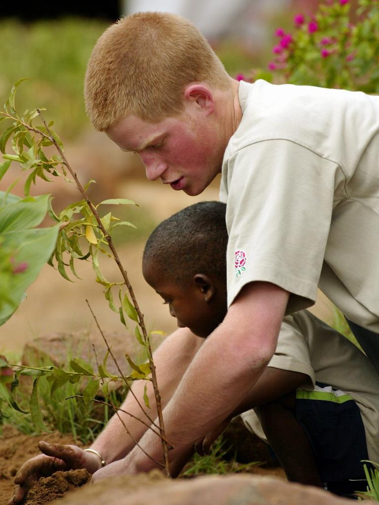 Prince Harry plants a peach tree with 4-year-old Mutsu Potsane at the Mants’ase Children’s Home on March 2, 2003 in South Africa. Picture: AAP