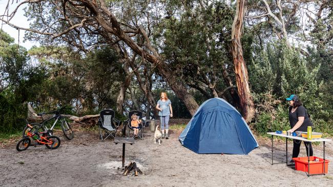 Banksia Bluff Campsite at Cape Conran Coastal Park. Picture: Belinda VanZanen