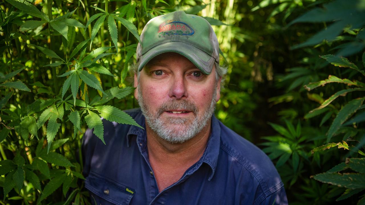 Hemp farmer Steve Moulton says the industry has untapped economic and environmental potential. Picture: Jacqui Bateman