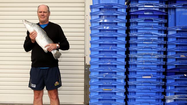 Another of the pictures from Rodney Eade’s fishy photo shoot. Picture: Scott Fletcher.