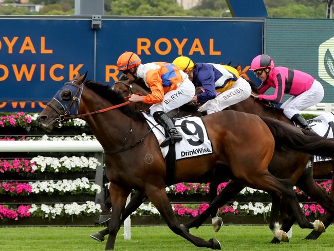 SYDNEY, AUSTRALIA - JANUARY 21: Brock Ryan riding Cuban Royale wins Race 6 Drinkwise Carrington Stakes during Sydney Racing at Royal Randwick Racecourse on January 21, 2023 in Sydney, Australia. (Photo by Jeremy Ng/Getty Images)