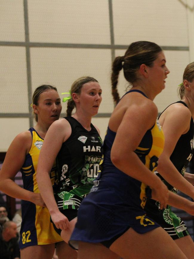 HART Sapphire Series round 1 2024 (Ruby league) Darling Downs Panthers v Bond University Bull Sharks Netball