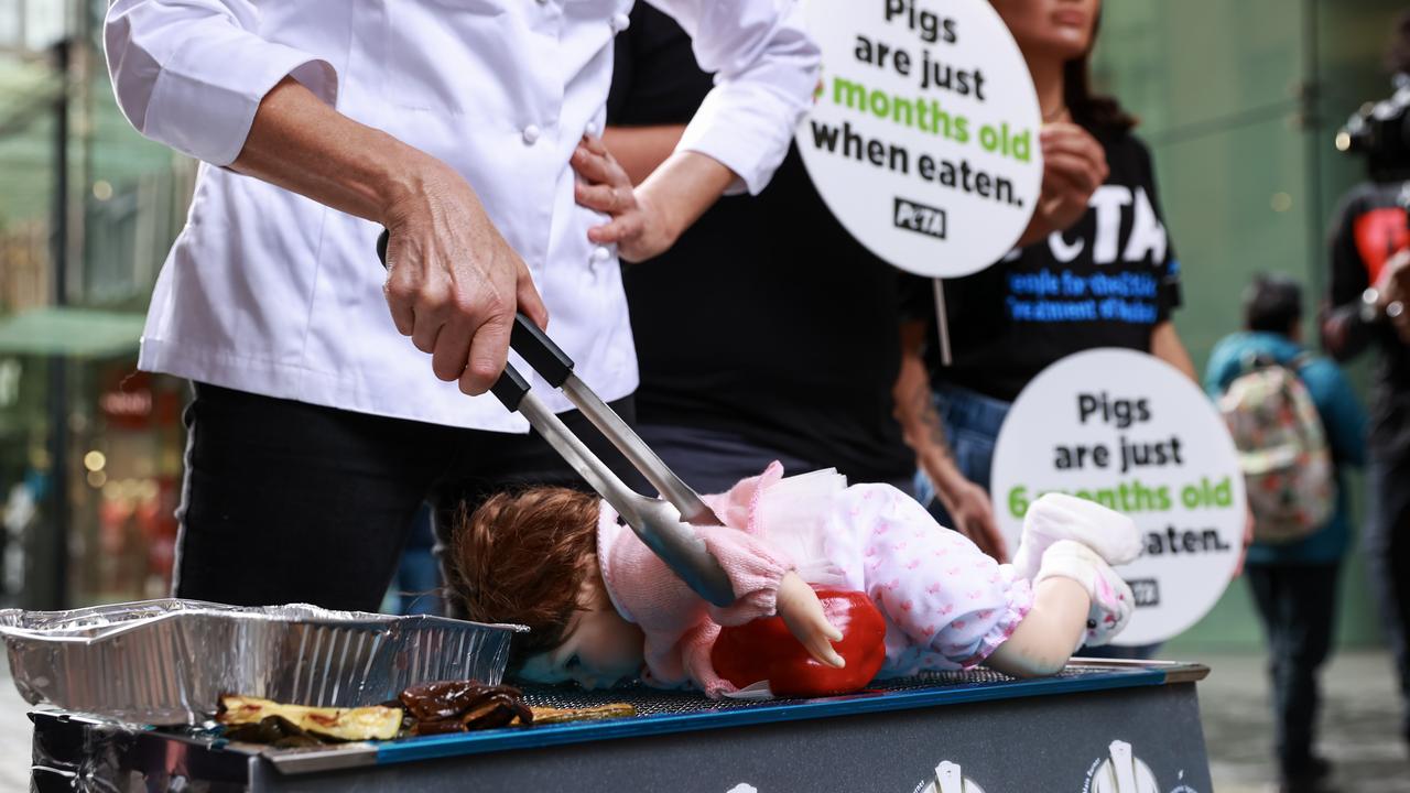 PETA has appealed to Australians ahead of their long weekend barbecues over Easter. Picture: NCA NewsWire / Justin Lloyd