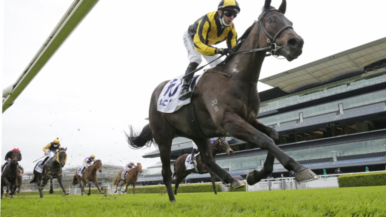 Promising filly Sky Command returns on Saturday. Photo: Getty Images)