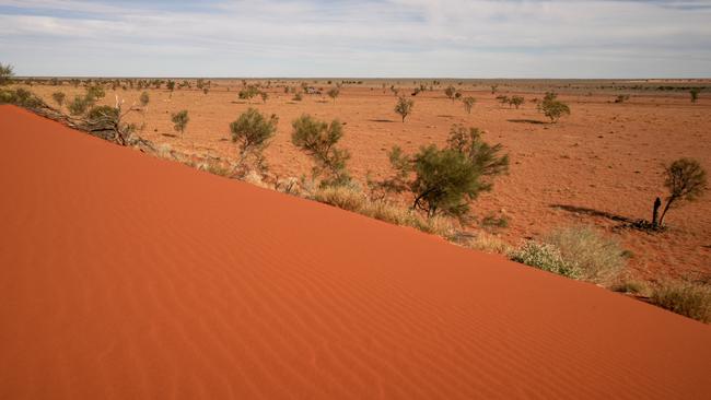 Windorah sandhills. Picture: Meg Forbes