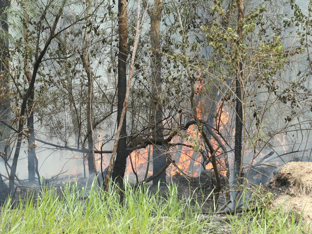 Spotfires are springing up as a result of constantly changing wind conditions. Picture: Mark Cranitch.