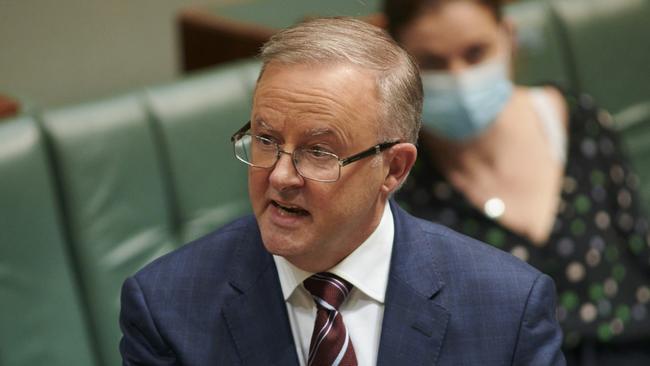 Labor leader Anthony Albanese in question time. Picture: Getty Images