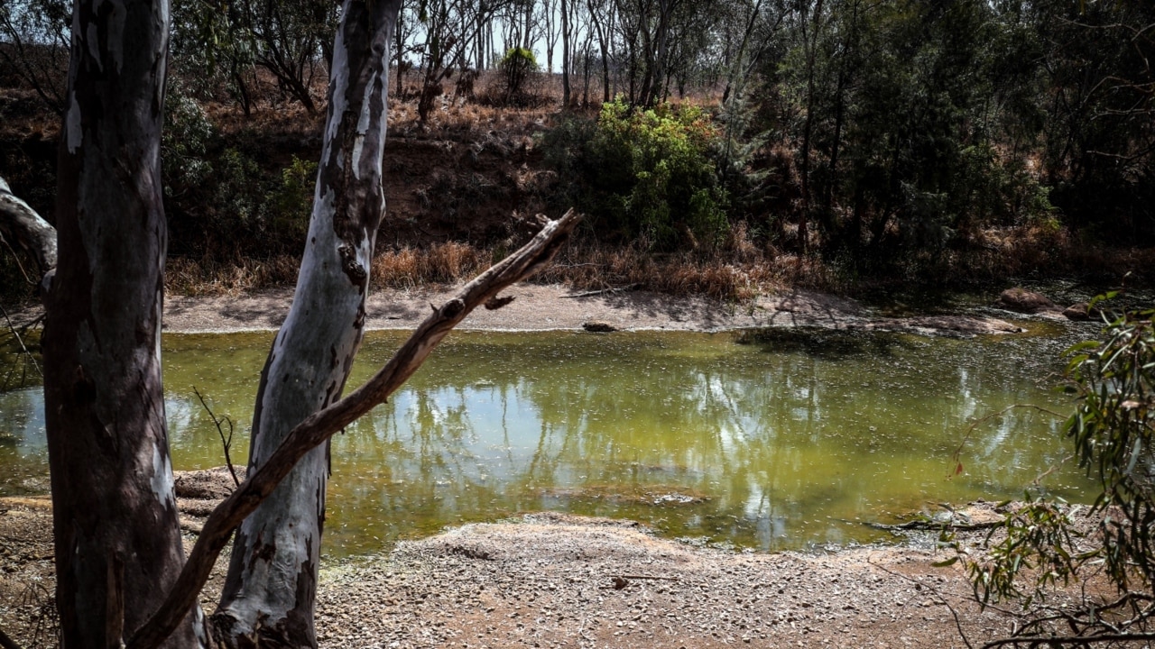 Labor announces Murray-Darling Basin plan will not be delivered on time