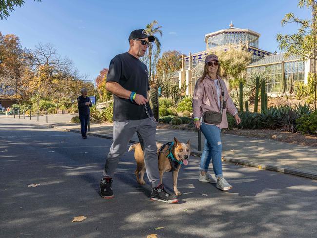 RSPCA SA's Million Paws Walk in Adelaide on May 25, 2025. Picture: Ben Clark