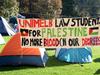 True toll of pro-Palestine protests at leading Victorian uni revealed
