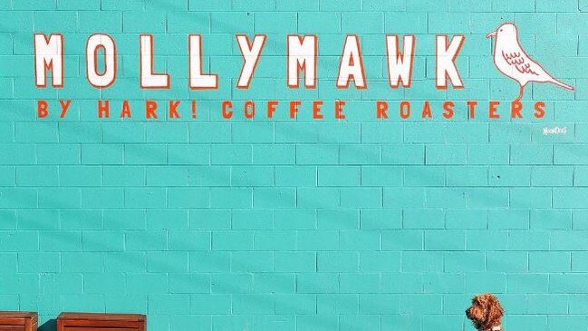 Mollymawk coffee. Pic: Instagram