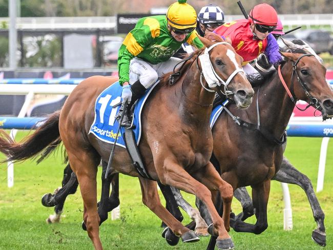 Regal Azmon ridden by Daniel Stackhouse wins the Jack Elliott Handicap at Caulfield Racecourse on April 06, 2024 in Caulfield, Australia. (Photo by Reg Ryan/Racing Photos via Getty Images)