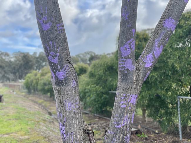 Guests showed their respect and honoured Montana by leaving purple handprints on a tree at the Benalla Cemetery.