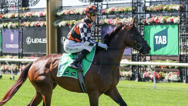 Fawkner Park heads to the barriers for the Australian Cup Prelude at Flemington in March. Picture: George Sal / Racing Photos