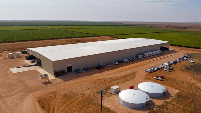 Talia Farms’ packing facility uses automated systems for same-day pick, pack, and dispatch.