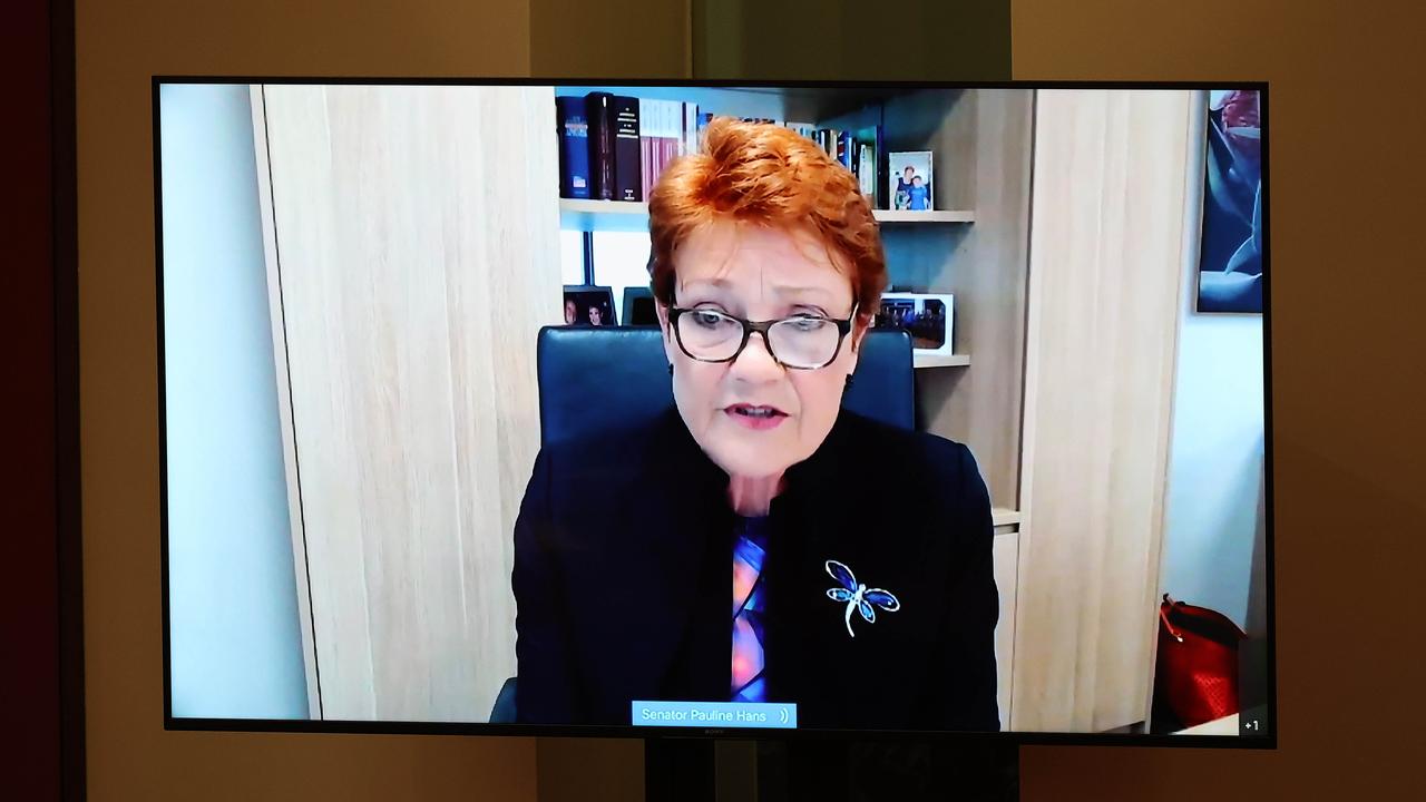 Senator Pauline Hanson via video conference in the Senate Chamber in Parliament House Canberra. Picture: NCA NewsWire / Gary Ramage