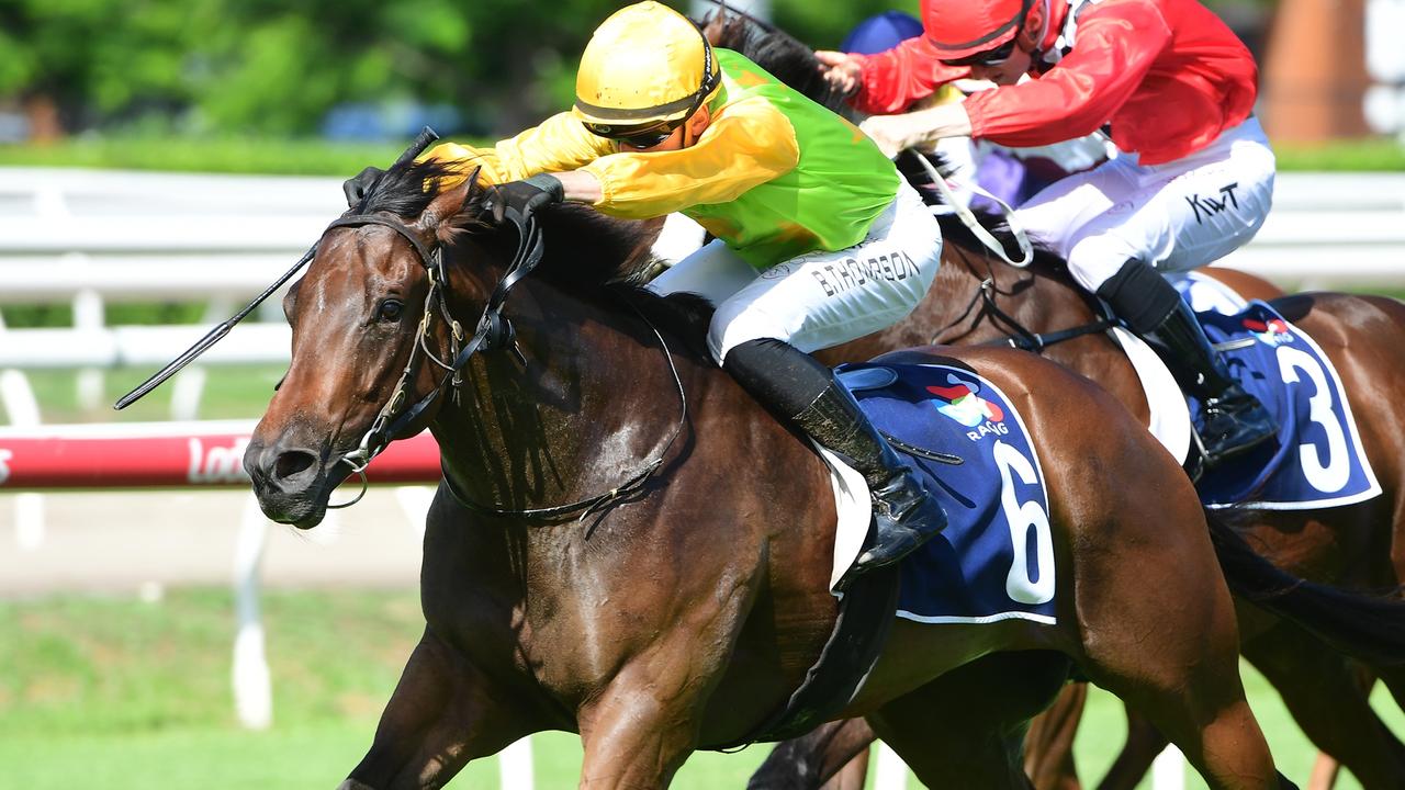 Leading Queensland winter carnival contender All That Pizzazz. Picture: Natasha Wood/Trackside Photography