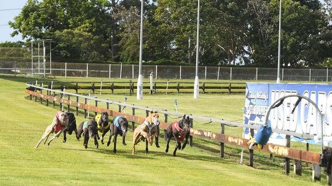 Four dogs have died on the Bundaberg track in 2021.