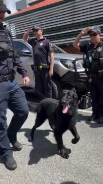 Police dog gets guard of honour on retirement