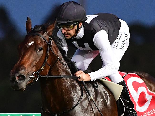 Miami Fleiss winning at the Sunshine Coast. Picture: Trackside Photography