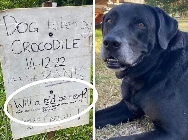 Indie the labrador was taken by a croc near Cairns on Wednesday