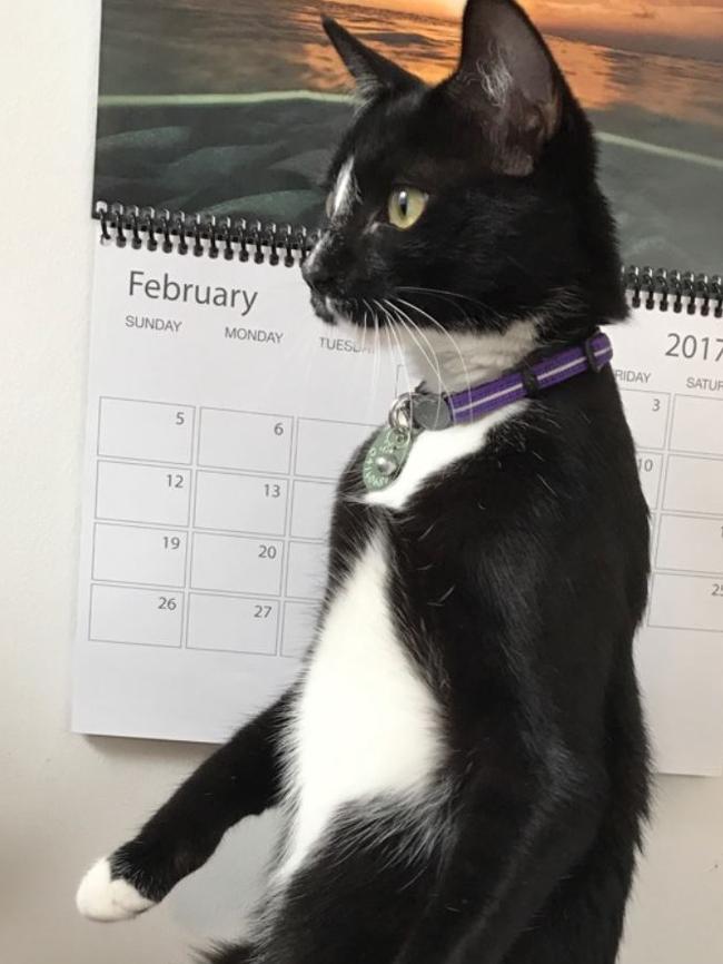 Kiki