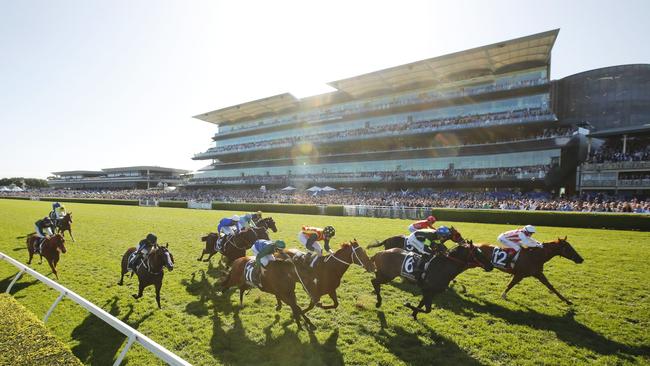 The Everest has become a marquee event in Sydney. Picture: Mark Evans/Getty Images