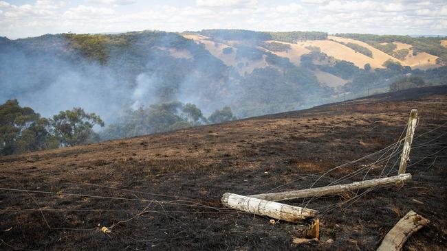 Fire in Flowerdale. Picture: Mark Stewart