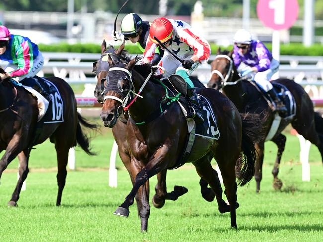 Majestic Boom notches up his third consecutive win for trainer Lawrie Mayfield-Smith. Picture: Grant Peters-Trackside Photography.