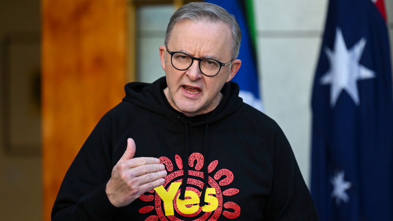 Anthony Albanese campaigns for Yes in Tasmania