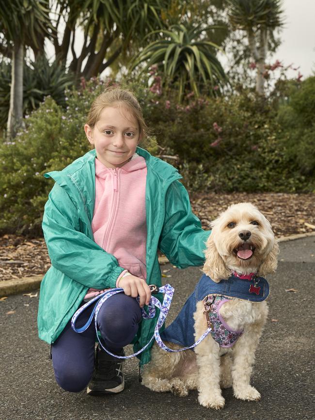 Million Paws Walk at Adelaide Botanic Gardens. Picture: Matt Loxton