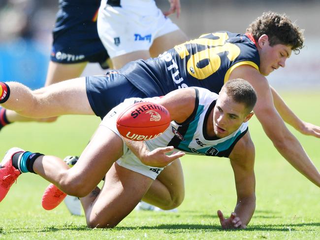 Harry Schoenberg of the Crows and Boyd Woodcock of the Power contest the ball during an AFL pre-season hit out match between the Adelaide Crows and the Port Adelaide Power at Thebarton Oval in Adelaide, Saturday, February 29, 2020. (AAP Image/David Mariuz) NO ARCHIVING, EDITORIAL USE ONLY