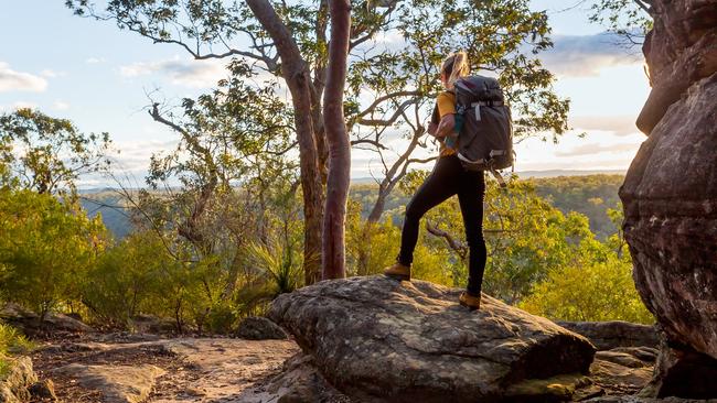 Take a podcast hike through the Australian bush with ABC’s Off Track.