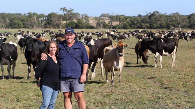 Solid approach: Mick and Paula Hughes have established an efficient dairy operation, including a strict culling regime, on their South Gippsland farm. Picture: Yuri Kouzmin