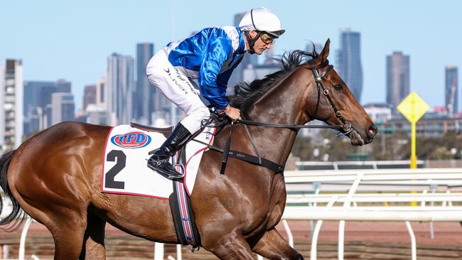 Alligator Blood is primed to strike third-up in the Underwood Stakes with Damien Oliver on board. Picture: George Sal/Racing Photos via Getty Images