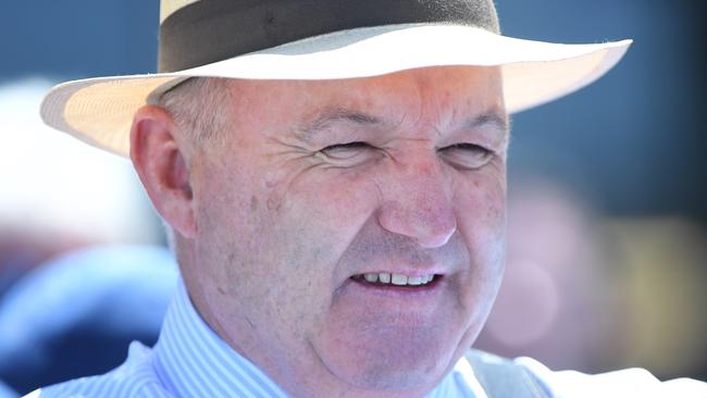 Trainer David Hayes has four runners in the Feehan Stakes, while his son Will could get a start for the Western Bulldogs this weekend. Picture: AAP