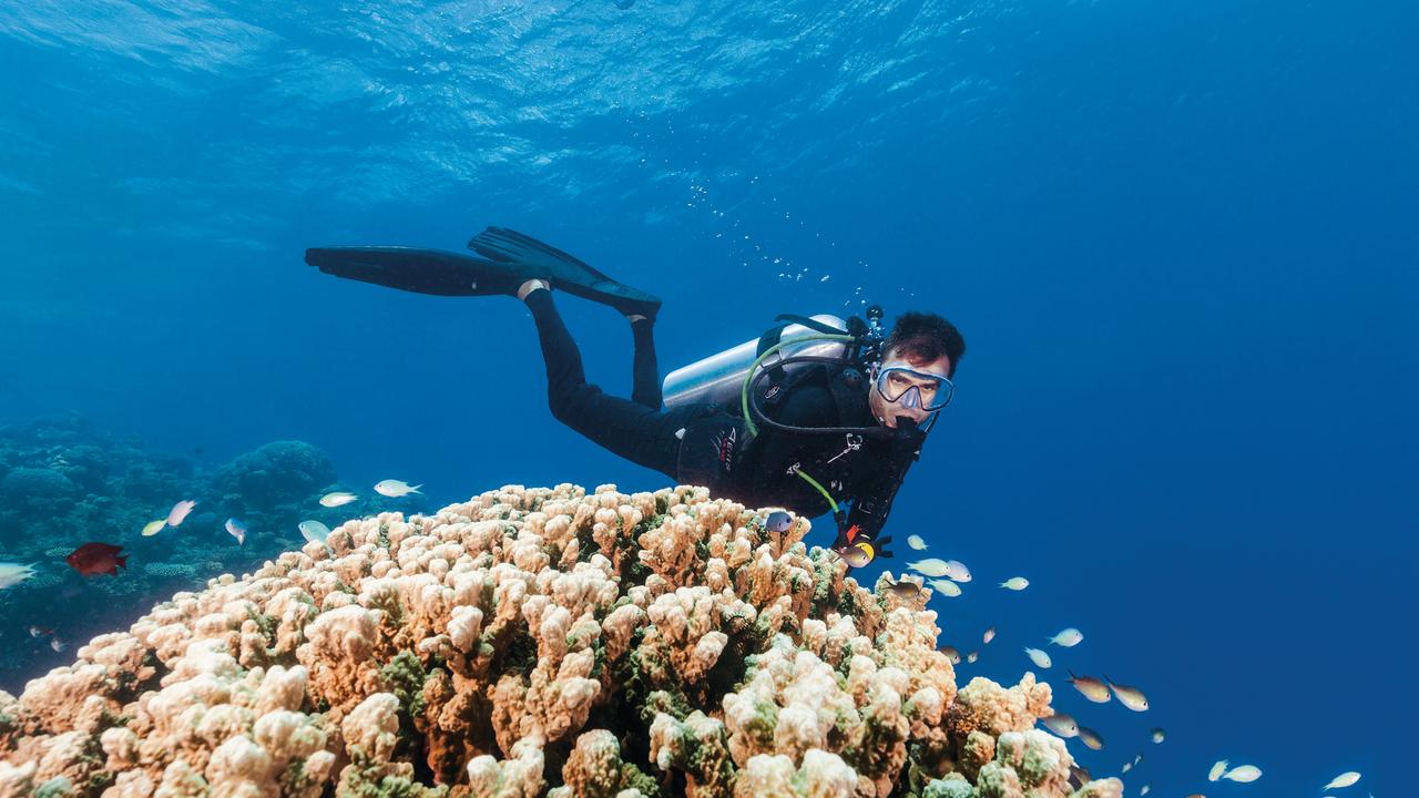 Great Barrier Reef: Entsch to host ambassadors on Reef tour ahead of ...