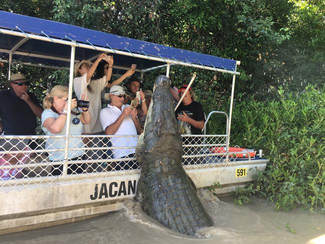 Saltwater crocodile Dominator leaps for his food on jumping croc tour on the Adelaide River. Picture: Hayley Sorensen