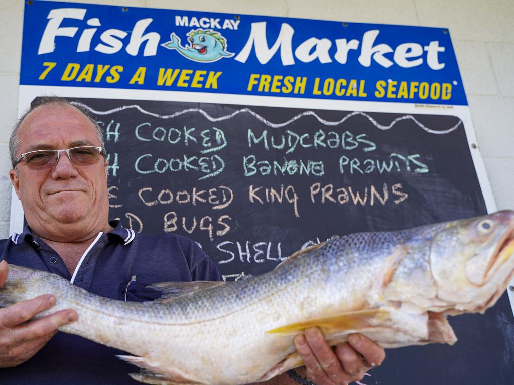 Mackay Fish Market owner David Caracciolo with a gold threadfin, also known as a King Salmon. Picture: Heidi Petith