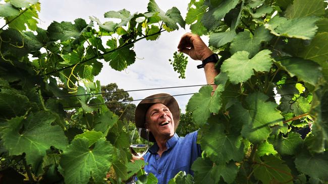 Hahndorf Hill Winery co-owner Larry Jacobs.