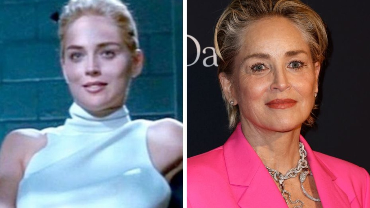 Sharon Stone Reveals Devastating Reason Hollywood Shunned Her Daily   C930b9cd1251a6723282323be21aca4a