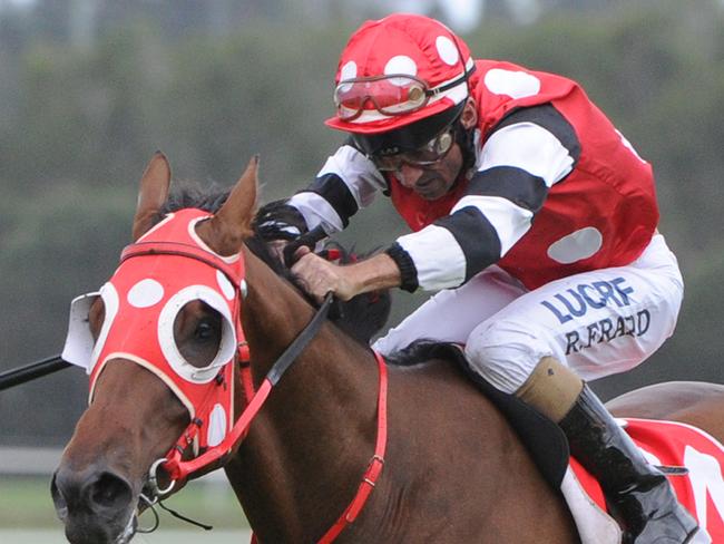 Right Or Wrong winning at Sunny Coast to go with my yarn, as requested by Killer Credit Grant Peters Trackside Photography