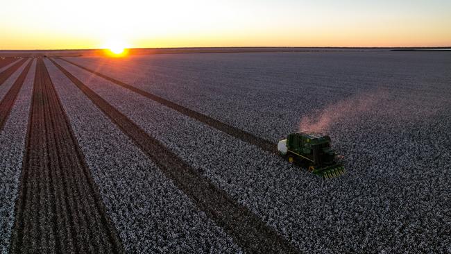 Sundown Pastoral Co's Keytah cotton farm. Picture: Supplied