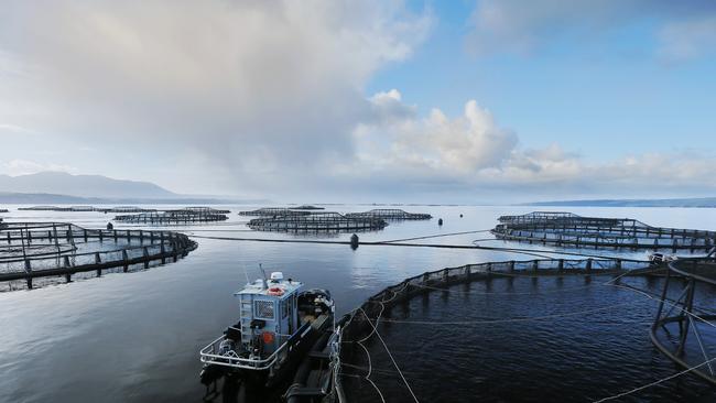 Tassal salmon pens, in Macquarie Harbour, Strahan, West Coast of Tasmania.